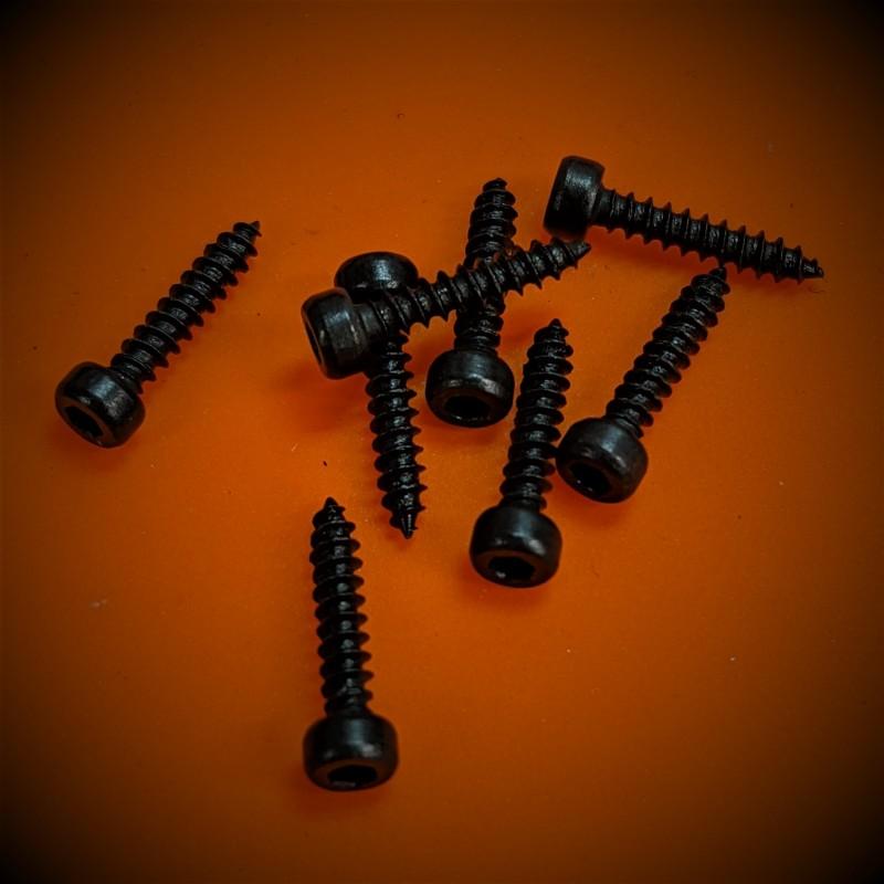 M2x10mm Self-Tapping Screw for Plastic - Hex Drive
